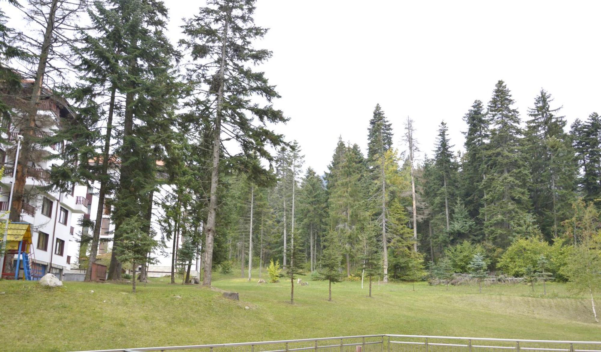 Persey Flora Apartments Borovets Buitenkant foto